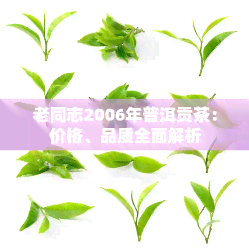 老同志2006年普洱贡茶：价格、品质全面解析