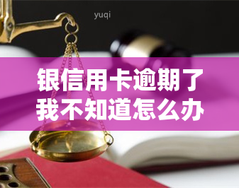 银信用卡逾期了我不知道怎么办，信用卡逾期了，该怎么办？——解决银信用卡逾期问题的实用指南