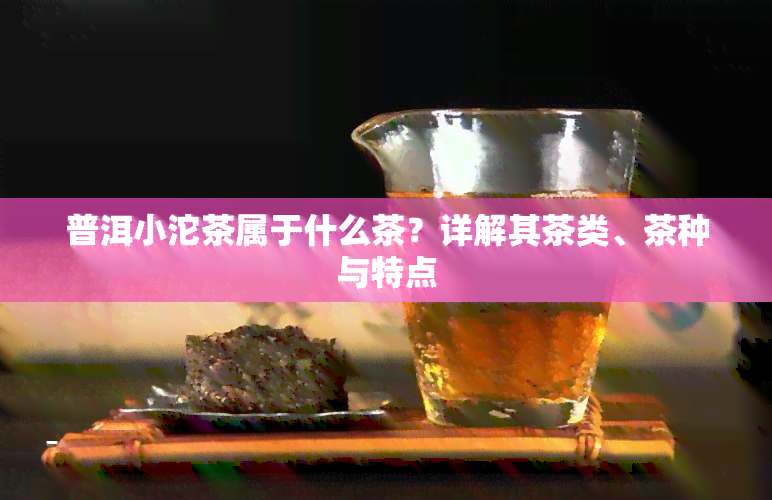 普洱小沱茶属于什么茶？详解其茶类、茶种与特点