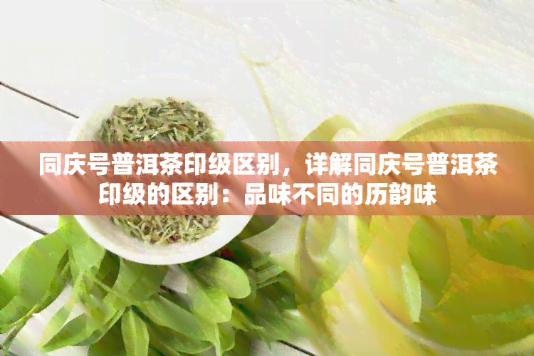 同庆号普洱茶印级区别，详解同庆号普洱茶印级的区别：品味不同的历韵味