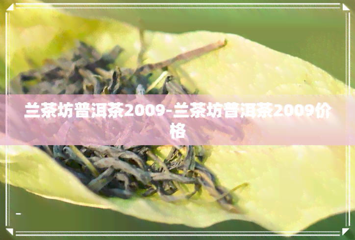 兰茶坊普洱茶2009-兰茶坊普洱茶2009价格