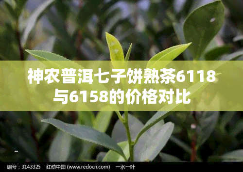 神农普洱七子饼熟茶6118与6158的价格对比