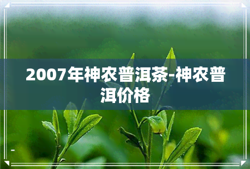 2007年神农普洱茶-神农普洱价格