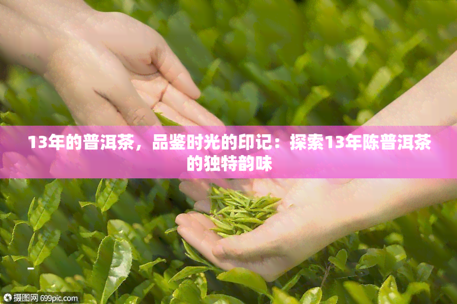 13年的普洱茶，品鉴时光的印记：探索13年陈普洱茶的独特韵味