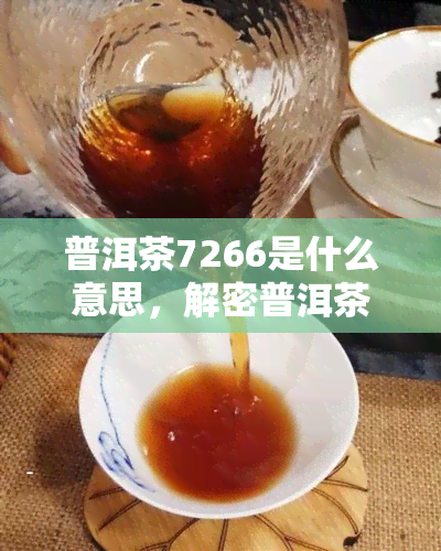 普洱茶7266是什么意思，解密普洱茶7266：含义解析与品鉴指南