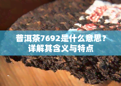 普洱茶7692是什么意思？详解其含义与特点