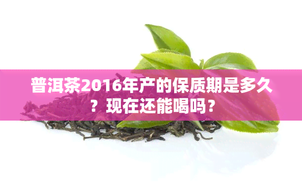 普洱茶2016年产的保质期是多久？现在还能喝吗？