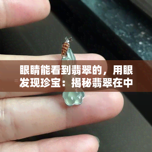 眼睛能看到翡翠的，用眼发现珍宝：揭秘翡翠在中的惊艳表现