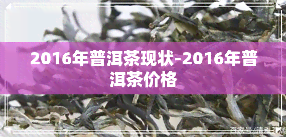 2016年普洱茶现状-2016年普洱茶价格