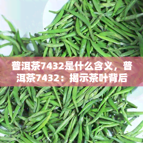 普洱茶7432是什么含义，普洱茶7432：揭示茶叶背后的神秘数字含义