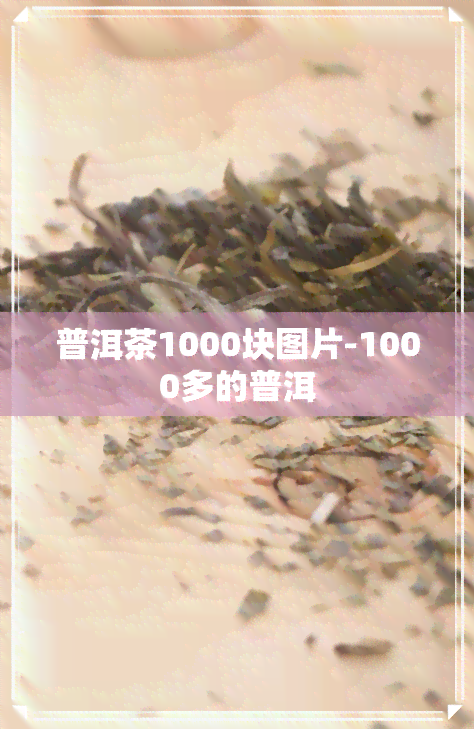 普洱茶1000块图片-1000多的普洱