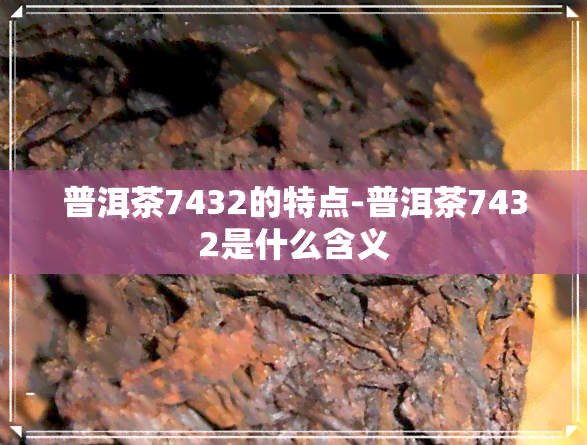 普洱茶7432的特点-普洱茶7432是什么含义