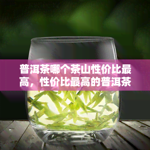 普洱茶哪个茶山性价比更高，性价比更高的普洱茶茶山是哪个？