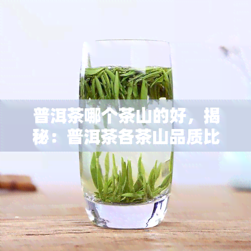 普洱茶哪个茶山的好，揭秘：普洱茶各茶山品质比较，哪座茶山的茶叶更胜一筹？