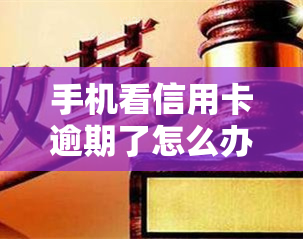 手机看信用卡逾期了怎么办，手机查看信用卡逾期情况及应对方法