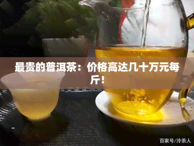 最贵的普洱茶：价格高达几十万元每斤！