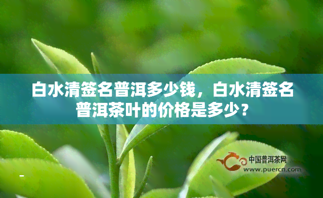 白水清签名普洱多少钱，白水清签名普洱茶叶的价格是多少？