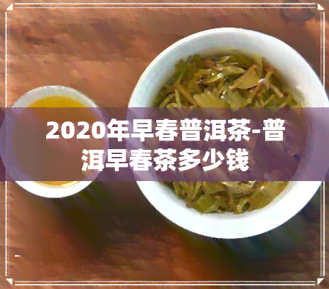 2020年早春普洱茶-普洱早春茶多少钱