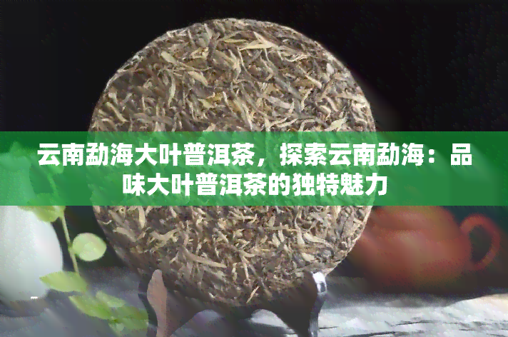 云南勐海大叶普洱茶，探索云南勐海：品味大叶普洱茶的独特魅力