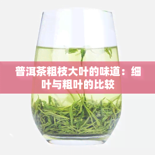 普洱茶粗枝大叶的味道：细叶与粗叶的比较