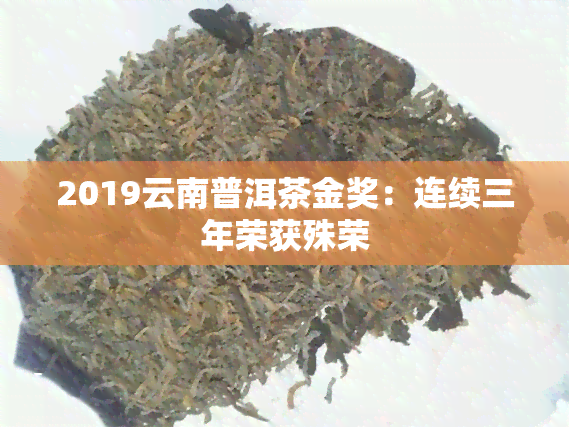 2019云南普洱茶金奖：连续三年荣获殊荣