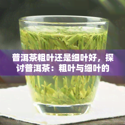 普洱茶粗叶还是细叶好，探讨普洱茶：粗叶与细叶的口感差异及选择建议