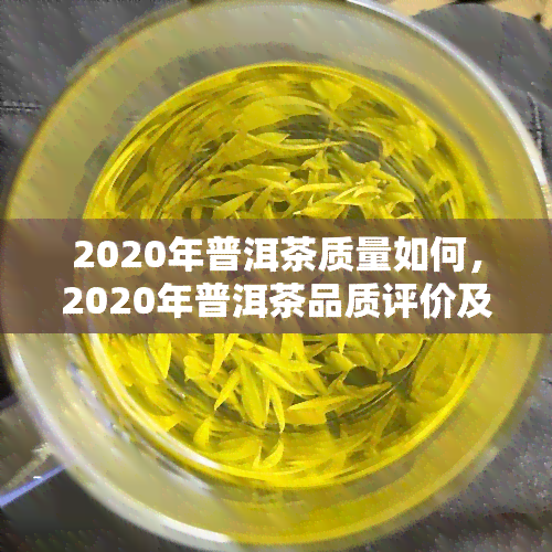 2020年普洱茶质量如何，2020年普洱茶品质评价及消费者反馈