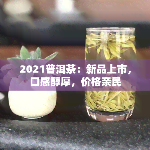 2021普洱茶：新品上市，口感醇厚，价格亲民