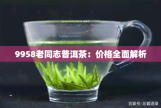 9958老同志普洱茶：价格全面解析