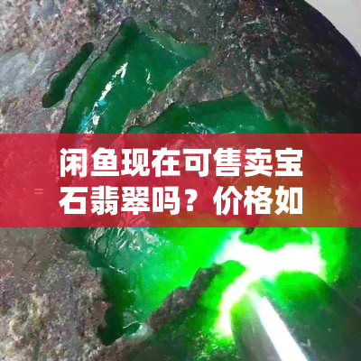 闲现在可售卖宝石翡翠吗？价格如何？