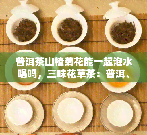 普洱茶山楂菊花能一起泡水喝吗，三味花草茶：普洱、山楂与菊花能否混搭饮用？