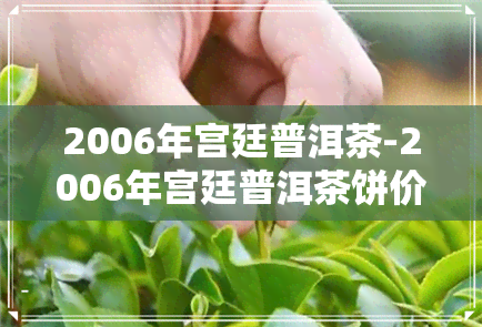 2006年宫廷普洱茶-2006年宫廷普洱茶饼价格多少