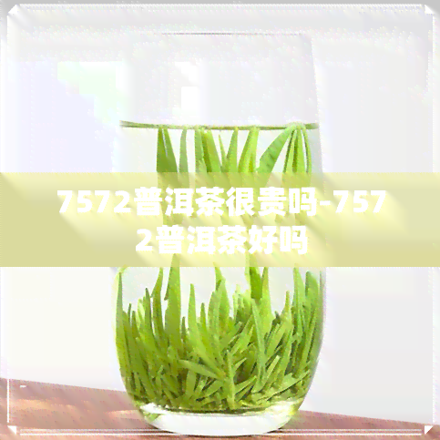 7572普洱茶很贵吗-7572普洱茶好吗