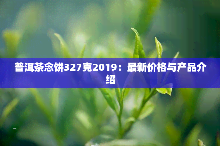 普洱茶念饼327克2019：最新价格与产品介绍