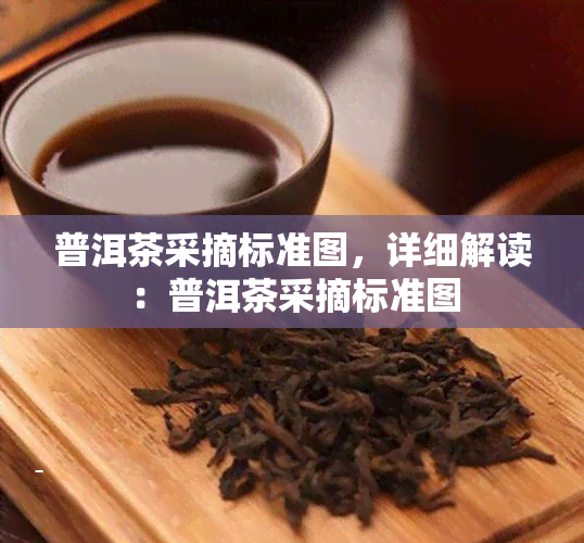 普洱茶采摘标准图，详细解读：普洱茶采摘标准图