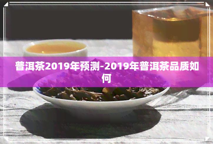 普洱茶2019年预测-2019年普洱茶品质如何