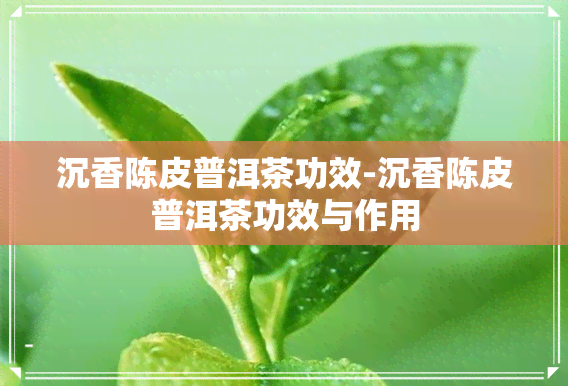 沉香陈皮普洱茶功效-沉香陈皮普洱茶功效与作用