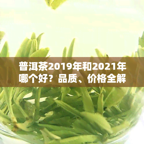 普洱茶2019年和2021年哪个好？品质、价格全解析！