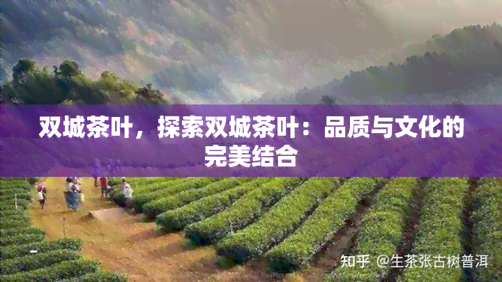 双城茶叶，探索双城茶叶：品质与文化的完美结合