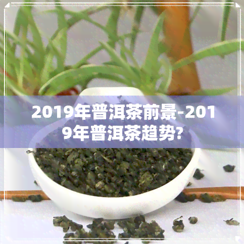 2019年普洱茶前景-2019年普洱茶趋势?