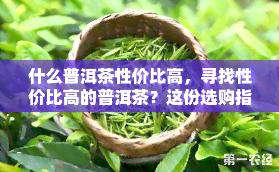 什么普洱茶性价比高，寻找性价比高的普洱茶？这份选购指南不容错过！