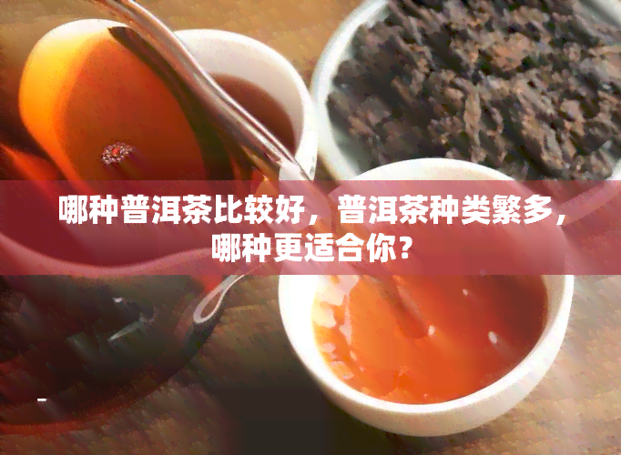 哪种普洱茶比较好，普洱茶种类繁多，哪种更适合你？