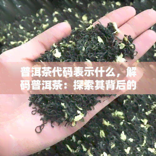 普洱茶代码表示什么，解码普洱茶：探索其背后的含义和价值