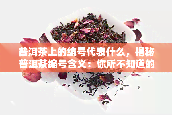 普洱茶上的编号代表什么，揭秘普洱茶编号含义：你所不知道的编码知识