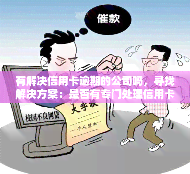 有解决信用卡逾期的公司吗，寻找解决方案：是否有专门处理信用卡逾期问题的公司？