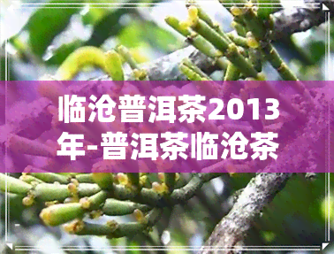 临沧普洱茶2013年-普洱茶临沧茶区2020年价格