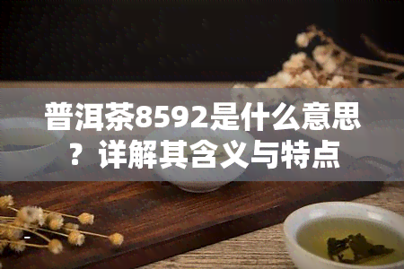 普洱茶8592是什么意思？详解其含义与特点