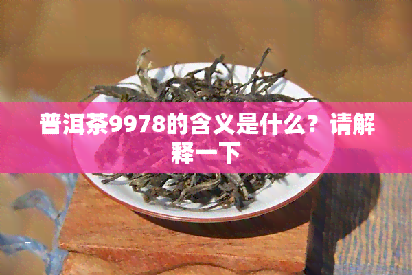 普洱茶9978的含义是什么？请解释一下