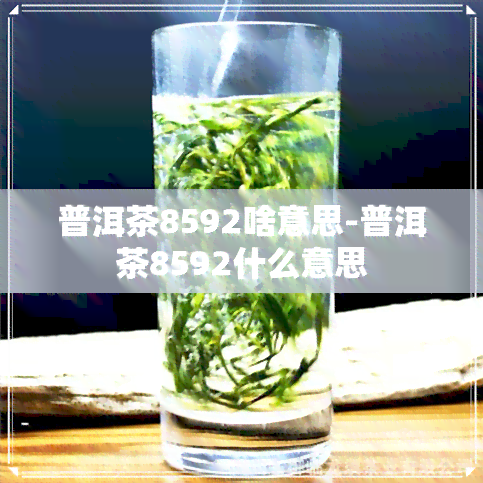 普洱茶8592啥意思-普洱茶8592什么意思