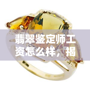 翡翠鉴定师工资怎么样，揭秘翡翠鉴定师的薪资待遇，让你了解这个职业的真实工资水平！